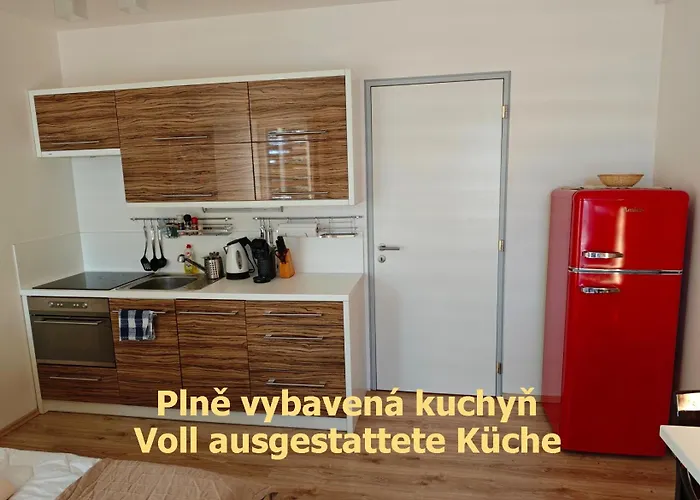 Apartment Sova - Klinovec Loučná pod Klínovcem